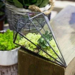 Handmade Long Diamond Glass Geometric Terrarium For Succulent Airplants Cacti Moss -Terrarium Plant Hub product image 988840436