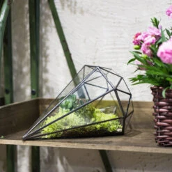Handmade Long Diamond Glass Geometric Terrarium For Succulent Airplants Cacti Moss -Terrarium Plant Hub product image 988840448