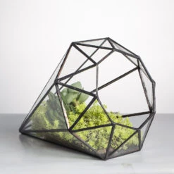 Handmade Long Diamond Glass Geometric Terrarium For Succulent Airplants Cacti Moss -Terrarium Plant Hub product image 988840451