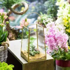 Handmade Copper Gold Echelon Geometric Glass Terrarium Hanging Wall Holder Lantern With Handle -Terrarium Plant Hub product image 991625902