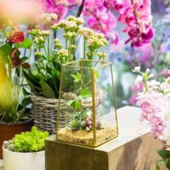 Handmade Copper Gold Echelon Geometric Glass Terrarium Hanging Wall Holder Lantern With Handle -Terrarium Plant Hub product image 991625905