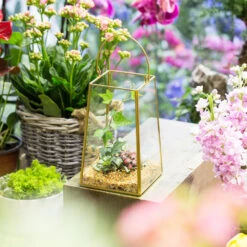 Handmade Copper Gold Echelon Geometric Glass Terrarium Hanging Wall Holder Lantern With Handle -Terrarium Plant Hub product image 991625908