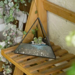 Handmade Small Pyramid Glass Geometric Terrarium For Ring Box Moss Cacti -Terrarium Plant Hub product image 997415093