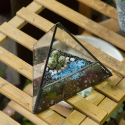 Handmade Small Pyramid Glass Geometric Terrarium For Ring Box Moss Cacti -Terrarium Plant Hub product image 997415096