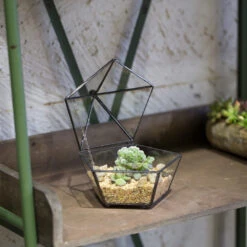 Handmade Small Modern Clear Jewelry BoxGlass Geometric Terrarium For Wedding Planters Succulents -Terrarium Plant Hub product image 997437592