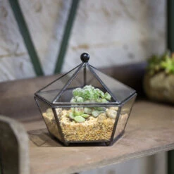 Handmade Small Modern Clear Jewelry BoxGlass Geometric Terrarium For Wedding Planters Succulents -Terrarium Plant Hub product image 997437593