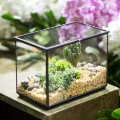Handmade Rectangle Clear Glass Geometric Terrarium Box For Succulents Fern Moss Plant Flower 16 Handmade Rectangle Clear Glass Geometric Terrarium Box For Succulents Fern Moss Plant Flower -Terrarium Plant Hub product image 997438685