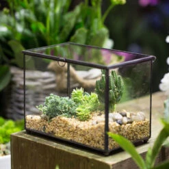 Handmade Rectangle Clear Glass Geometric Terrarium Box For Succulents Fern Moss Plant Flower 17 Handmade Rectangle Clear Glass Geometric Terrarium Box For Succulents Fern Moss Plant Flower -Terrarium Plant Hub product image 997438686