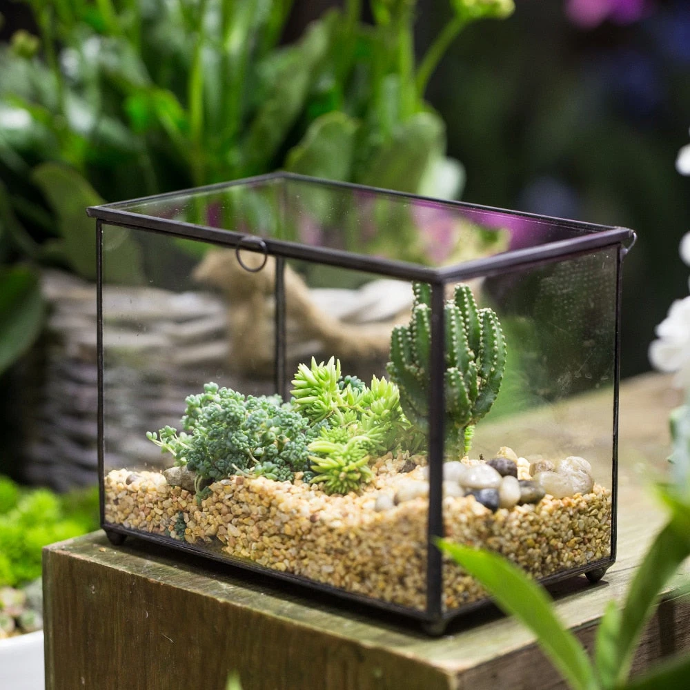 Handmade Rectangle Clear Glass Geometric Terrarium Box For Succulents Fern Moss Plant Flower 7 Handmade Rectangle Clear Glass Geometric Terrarium Box For Succulents Fern Moss Plant Flower - Image 5