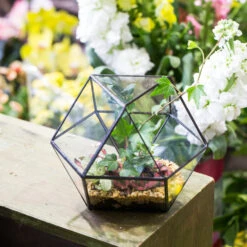 Handmade Glass Geometric Flower Terrarium Pot For Succulents Moss Fern Micro Landscape 19 Handmade Glass Geometric Flower Terrarium Pot For Succulents Moss Fern Micro Landscape -Terrarium Plant Hub product image 997439203