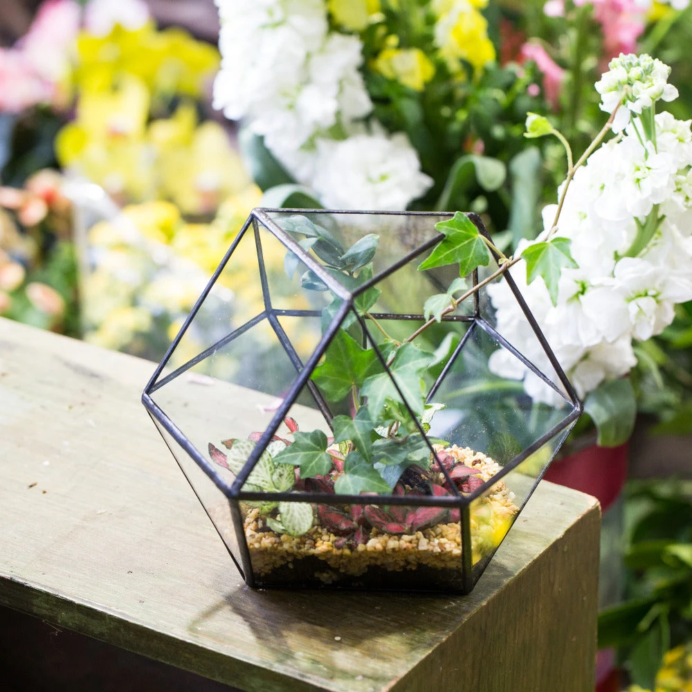 Handmade Glass Geometric Flower Terrarium Pot For Succulents Moss Fern Micro Landscape 7 Handmade Glass Geometric Flower Terrarium Pot For Succulents Moss Fern Micro Landscape - Image 5