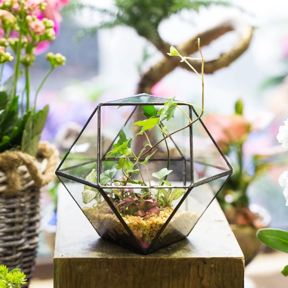 Handmade Glass Geometric Flower Terrarium Pot For Succulents Moss Fern Micro Landscape 13 Handmade Glass Geometric Flower Terrarium Pot For Succulents Moss Fern Micro Landscape - Image 11