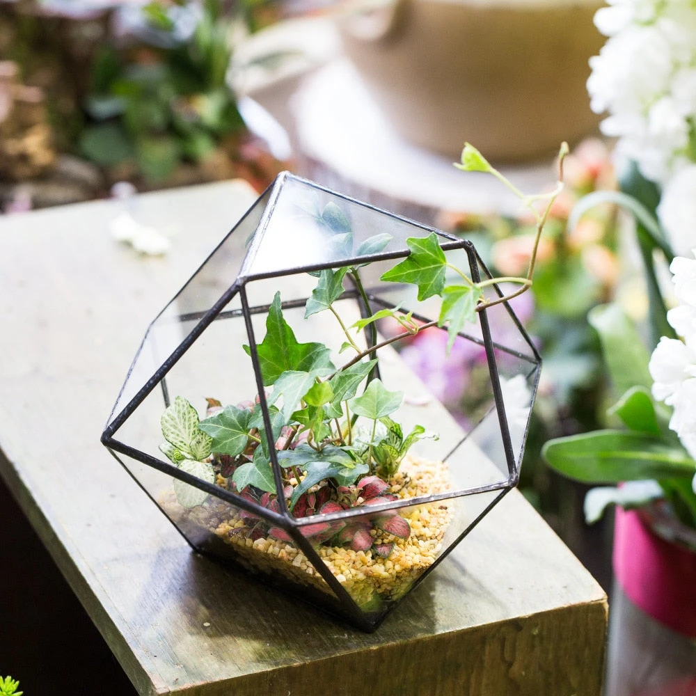 Handmade Glass Geometric Flower Terrarium Pot For Succulents Moss Fern Micro Landscape 10 Handmade Glass Geometric Flower Terrarium Pot For Succulents Moss Fern Micro Landscape - Image 8