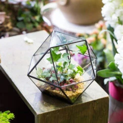 Handmade Glass Geometric Flower Terrarium Pot For Succulents Moss Fern Micro Landscape 24 Handmade Glass Geometric Flower Terrarium Pot For Succulents Moss Fern Micro Landscape -Terrarium Plant Hub product image 997439206
