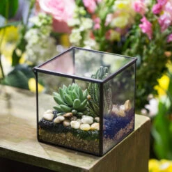 Handmade Small Square Glass Terrarium Box For Succulents Moss Jewelry Succulents 20 Handmade Small Square Glass Terrarium Box For Succulents Moss Jewelry Succulents -Terrarium Plant Hub product image 997497765