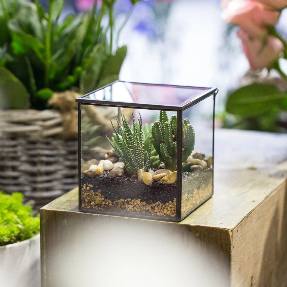 Handmade Small Square Glass Terrarium Box For Succulents Moss Jewelry Succulents 4 Handmade Small Square Glass Terrarium Box For Succulents Moss Jewelry Succulents - Image 2